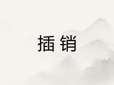 插销 插销