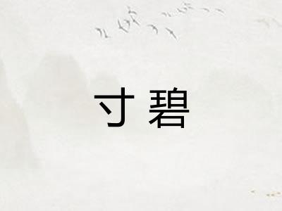 寸碧