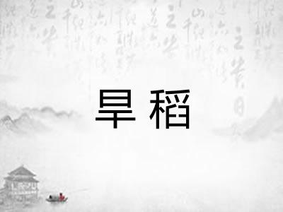 旱稻 旱稻