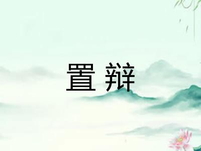 置辩