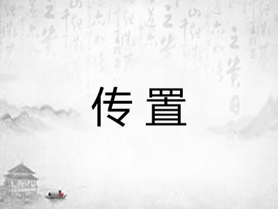 传置 传置