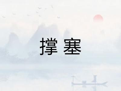 撑塞