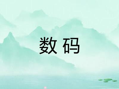 数码