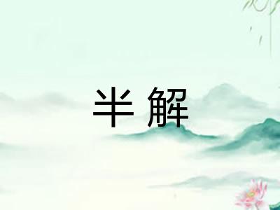 半解 半解