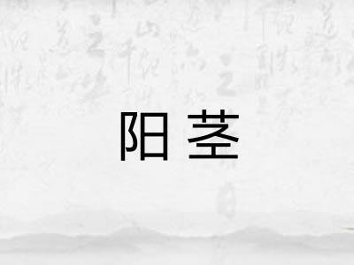阳茎 阳茎