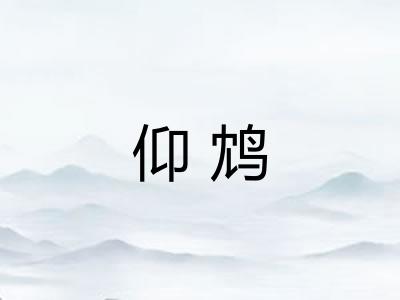 仰鸩