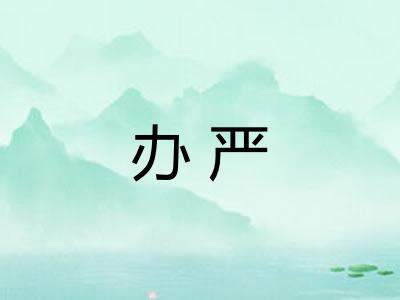办严