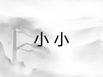 小小