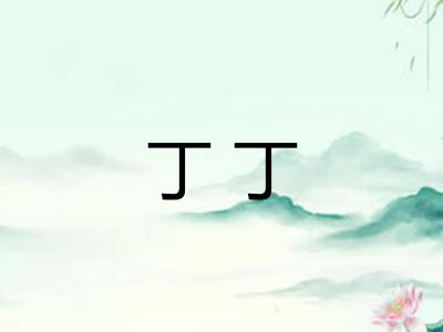 丁丁 丁丁