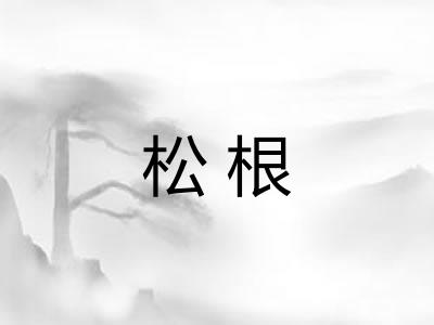 松根 松根