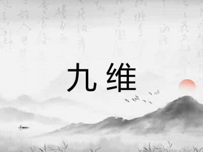 九维