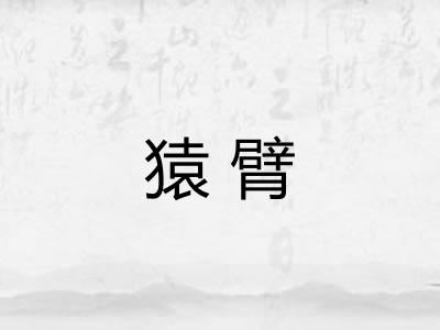 猿臂 猿臂