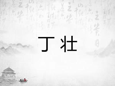 丁壮 丁壮