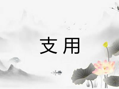 支用