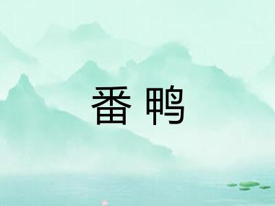 番鸭