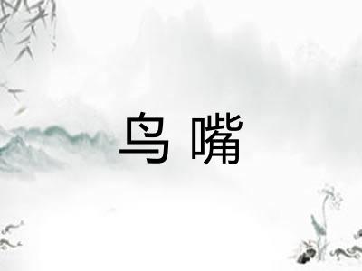鸟嘴 鸟嘴