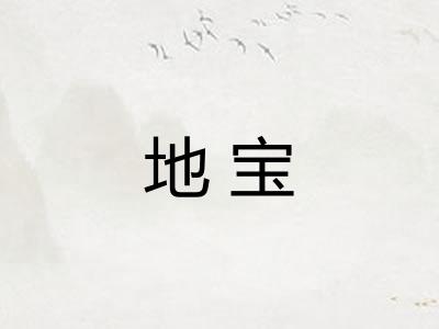 地宝 地宝