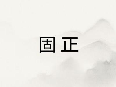 固正