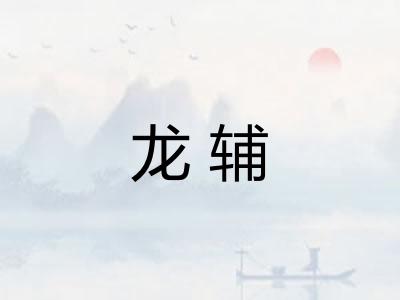 龙辅