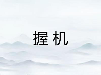 握机 握机