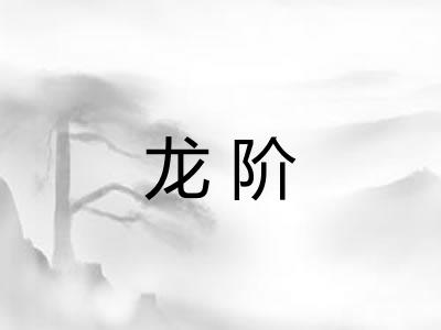龙阶 龙阶