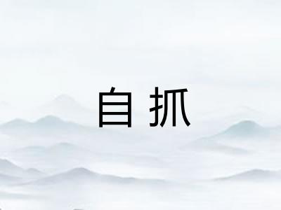 自抓 自抓