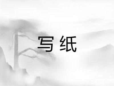 写纸