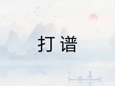 打谱