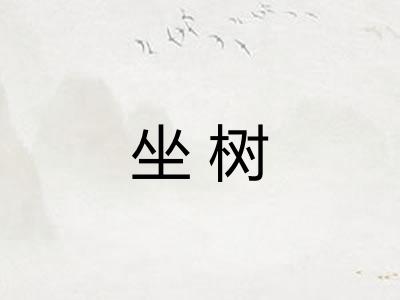 坐树 坐树