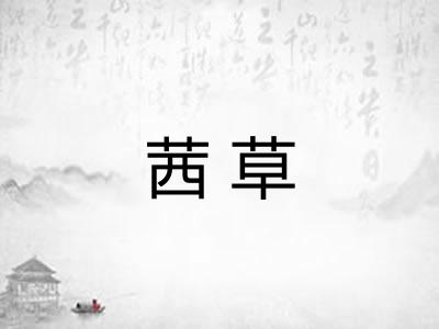 茜草 茜草