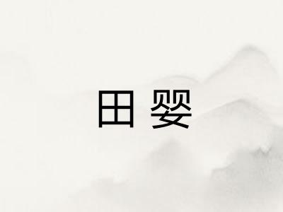 田婴 田婴