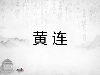 黄连 黄连