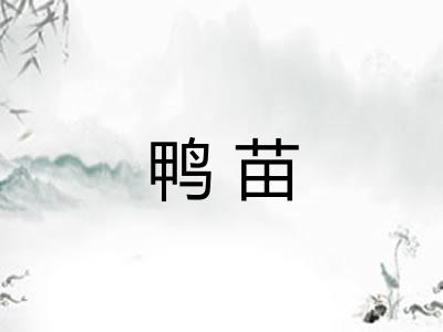 鸭苗