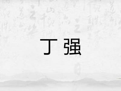 丁强 丁强