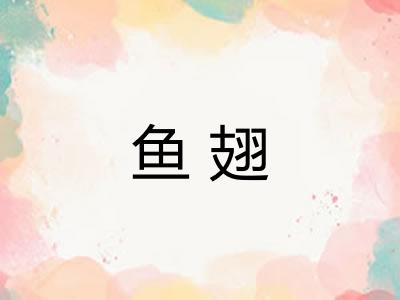 鱼翅