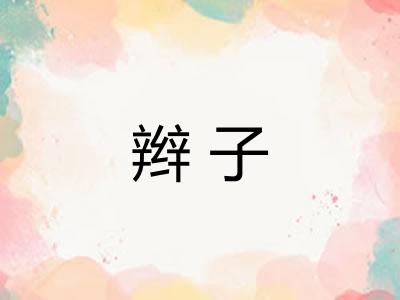 辫子 辫子