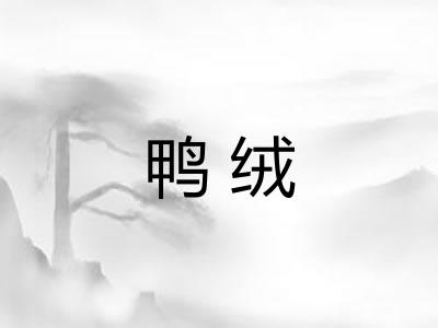 鸭绒