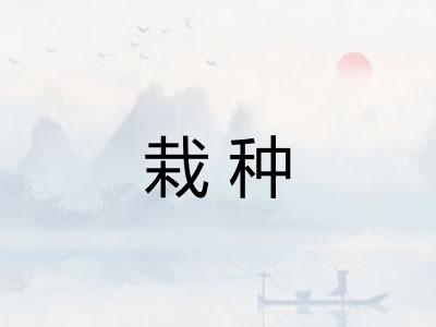 栽种