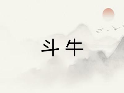 斗牛 斗牛