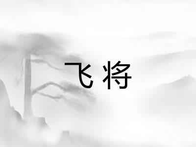 飞将 飞将