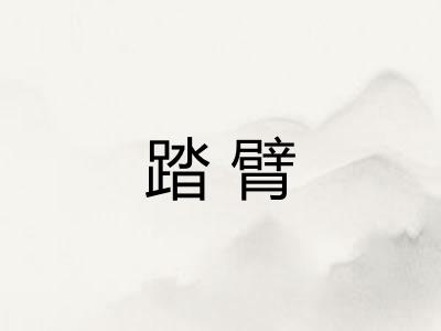 踏臂 踏臂