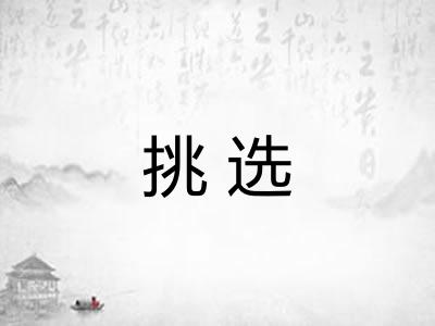 挑选