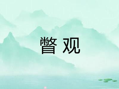 瞥观