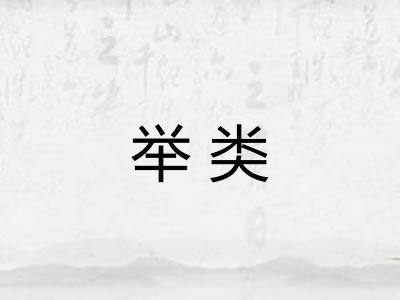举类