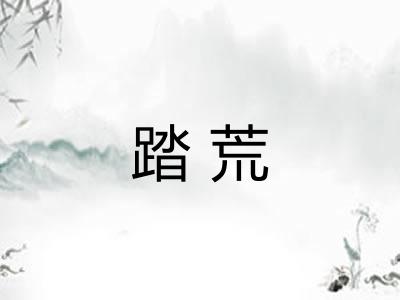 踏荒