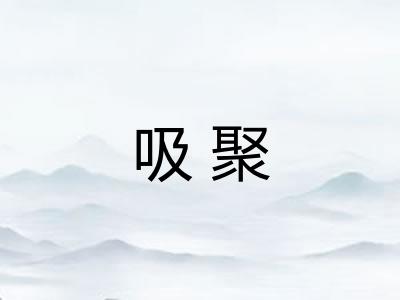 吸聚