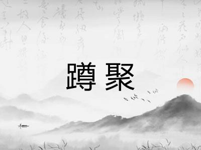 蹲聚