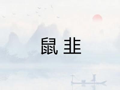 鼠韭 鼠韭