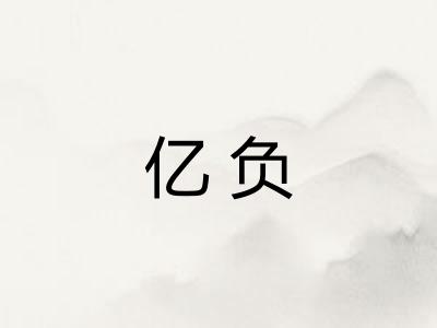 亿负