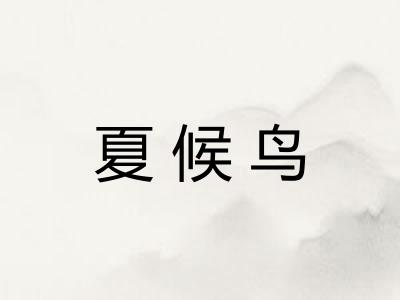 夏候鸟